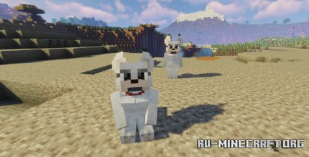  Woman Wolf  Minecraft 1.21.5