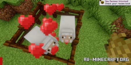  Custom Breed Cooldown  Minecraft 1.21.5