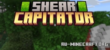     Minecraft PE 1.21