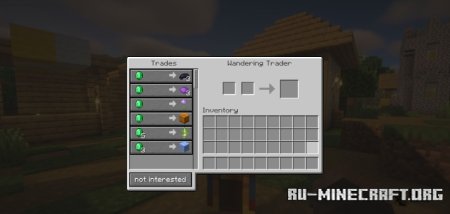  Not interested  Minecraft 1.21.5