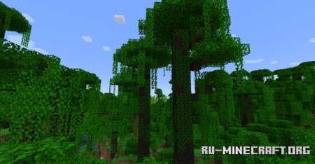 xalis Enhanced Jungle Wood  Minecraft 1.21.5