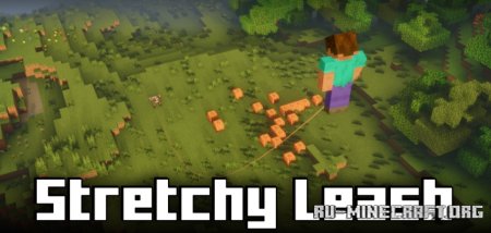  Stretchy Leash  Minecraft 1.21.5