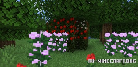  Saro&#180;s Fruit Trees  Minecraft 1.21.5