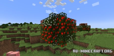  Saro&#180;s Fruit Trees  Minecraft 1.21.5