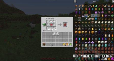 Shards  Minecraft 1.21