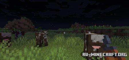  Tschipcrafts Dynamic Lights  Minecraft 1.21.5
