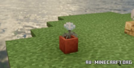  Instant Feedback  Minecraft 1.21.6