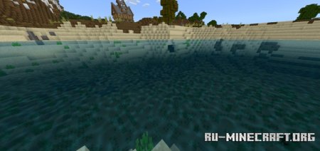      Minecraft PE 1.21