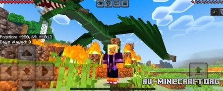      Minecraft PE 1.21