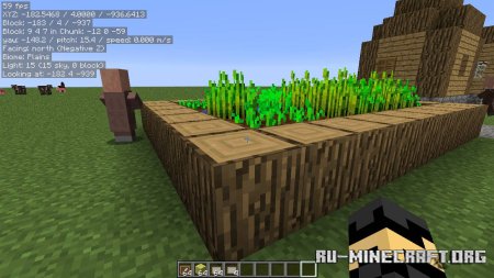  MiniHUD  Minecraft 1.21.5