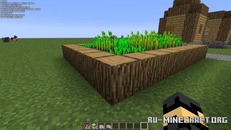  MiniHUD  Minecraft 1.21.5