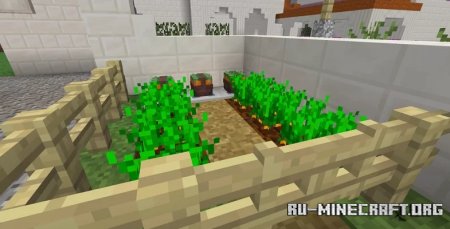  Wine Trader of Alesia  Minecraft