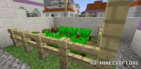  Wine Trader of Alesia  Minecraft
