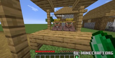  Eldorador - Civilisation  Minecraft