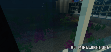  :  1  Minecraft PE