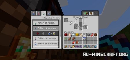      Minecraft PE 1.21