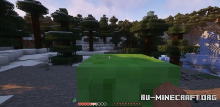  Passive Shield  Minecraft 1.21.6