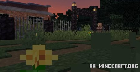  Aim Academy Adventure  Minecraft