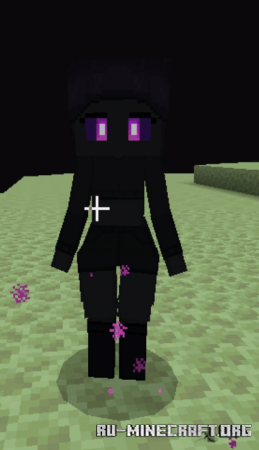      Minecraft PE 1.21