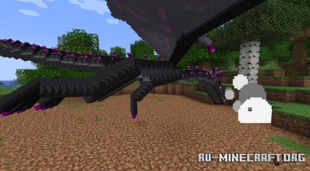  Better Ender Dragon  Minecraft 1.21.5