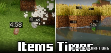 Скачать Items Timer для Minecraft 1.21.5