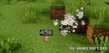  Items Timer  Minecraft 1.21.5