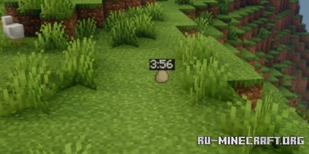  Items Timer  Minecraft 1.21.5