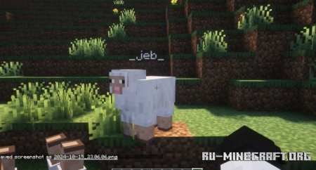  Toggle Nametags  Minecraft 1.21.6