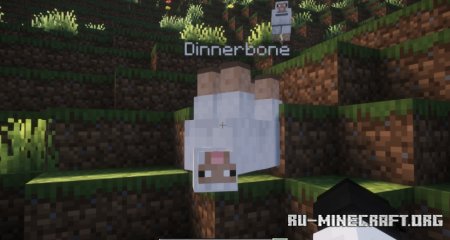  Toggle Nametags  Minecraft 1.21.6