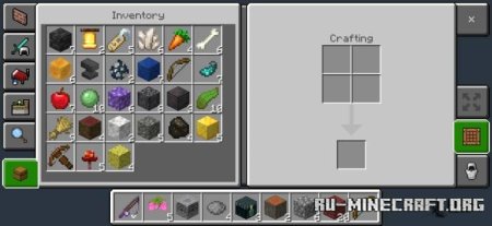       Minecraft PE