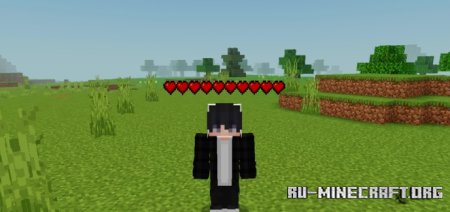      Minecraft PE 1.21