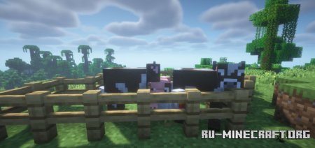  Auto Feeder  Minecraft 1.21.6