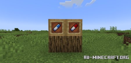  Dementia  Minecraft 1.21.6