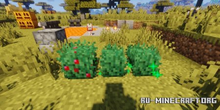  Bushier Bushes  Minecraft 1.21.6