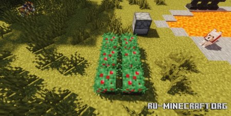  Bushier Bushes  Minecraft 1.21.6
