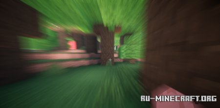  Max Speed  Minecraft 1.21.5