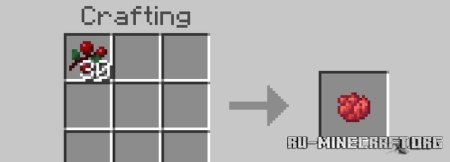       Minecraft PE 1.21