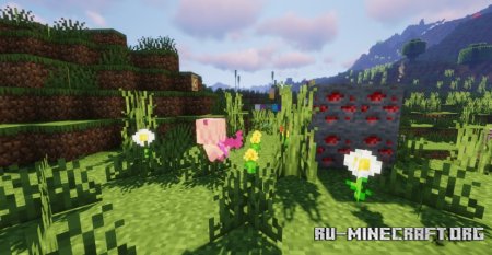  Mizunos Allay Variants  Minecraft 1.21.5