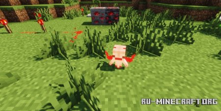  Mizunos Allay Variants  Minecraft 1.21.5