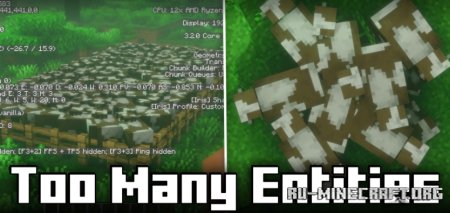  Too Many Entities  Minecraft 1.21.5