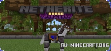      Minecraft PE 1.21
