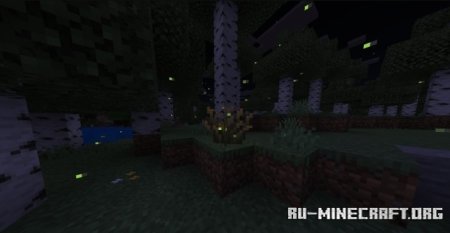     Minecraft PE 1.21