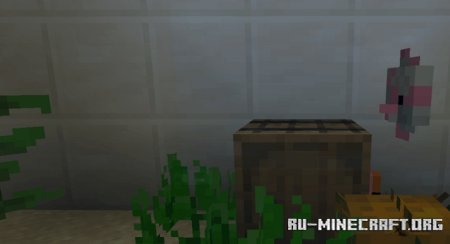  :  2  Minecraft PE