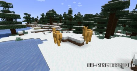  Dynamic Surroundings  Minecraft 1.21.6