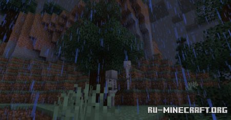  Dynamic Surroundings  Minecraft 1.21.6