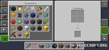         Minecraft PE