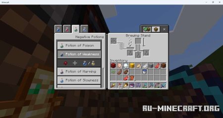     Minecraft PE 1.21