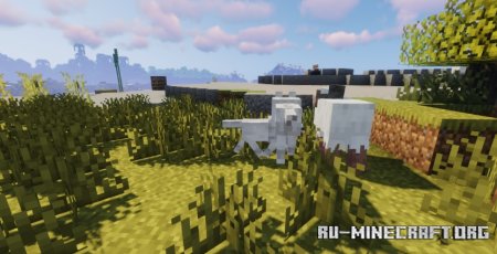  Woolly Wonders  Minecraft 1.21.7