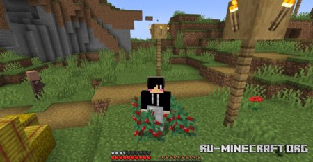  Misc Tweaks  Minecraft 1.21.7