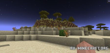  Cat Eyes  Minecraft 1.21.7